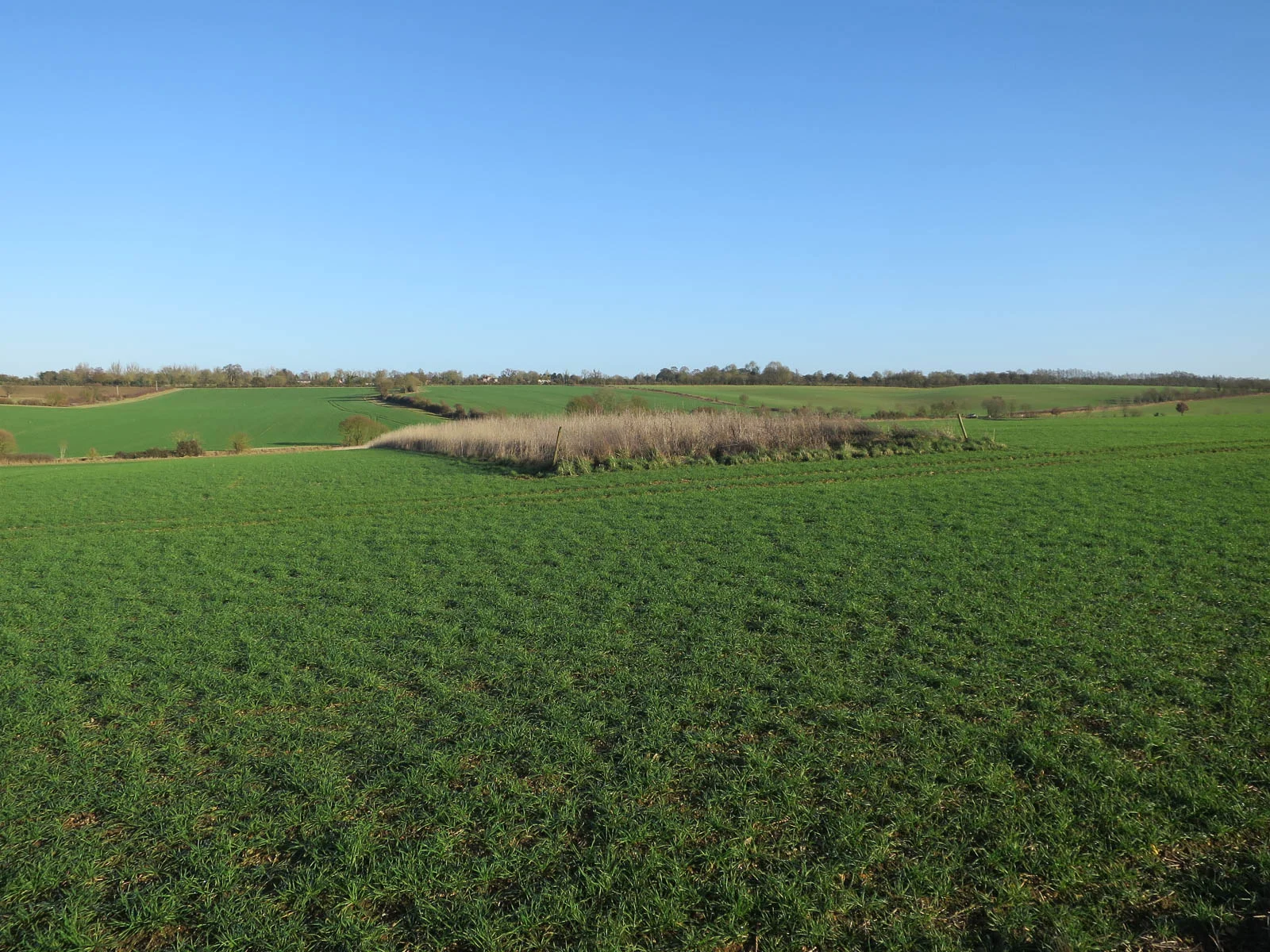 Sol et champ agricole illustrant les pratiques de régénération des sols