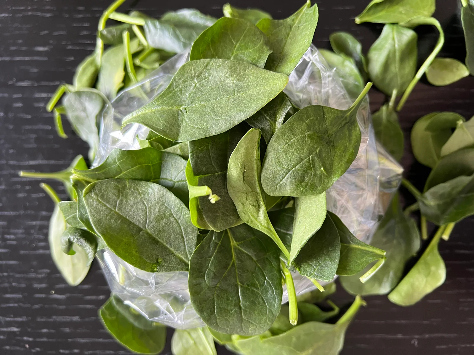 Épinards frais, source végétale excellente de magnésium et de fer, idéale pour les régimes plant-based