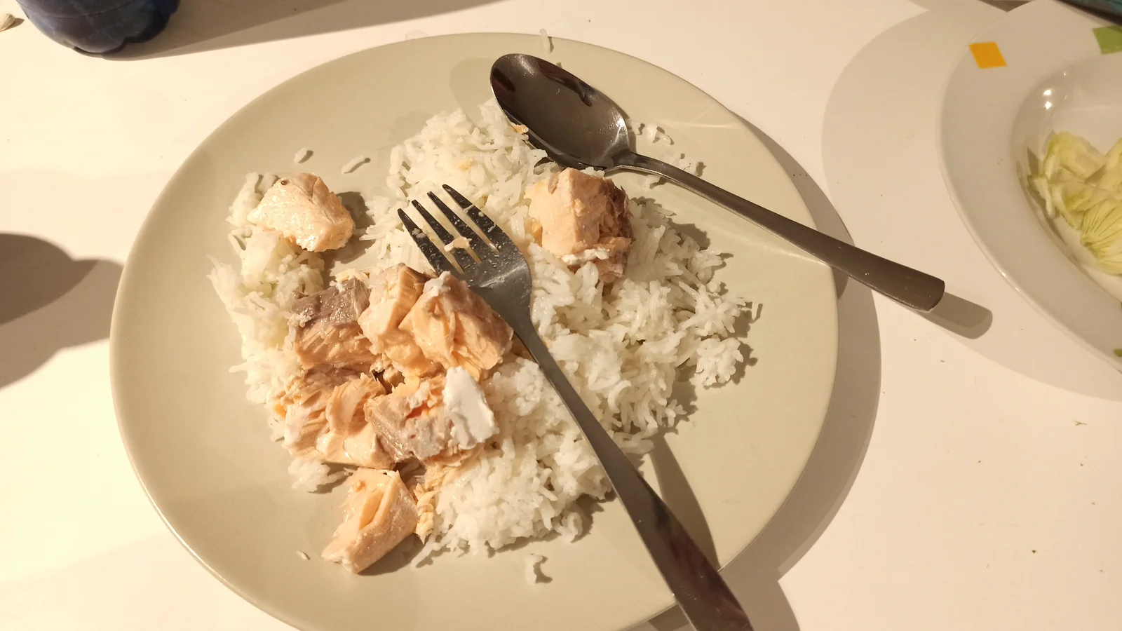 Filet de saumon sauvage, source alimentaire naturelle d'astaxanthine