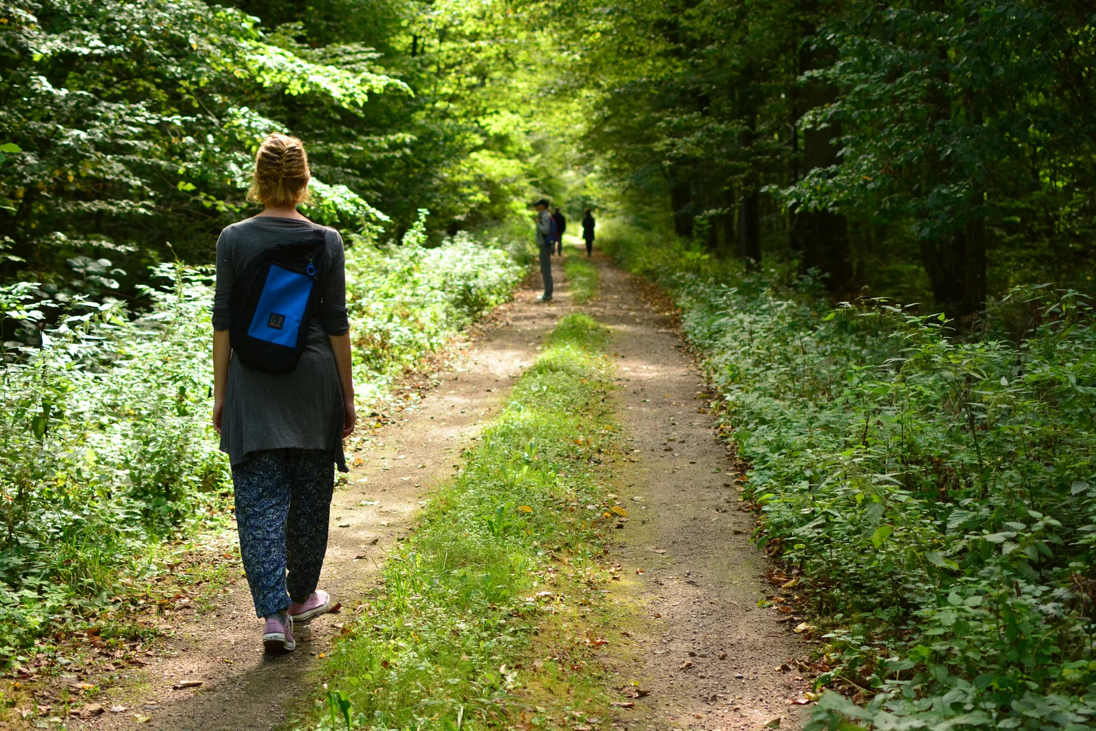 Bain de forêt : bienfaits scientifiques de la sylvothérapie