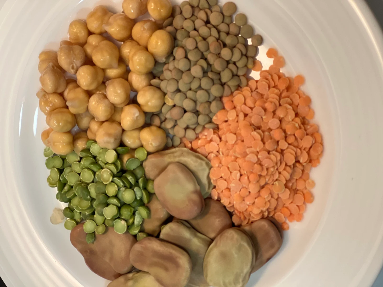 Légumineuses assorties riches en calcium végétal — fèves, pois chiches, lentilles et haricots