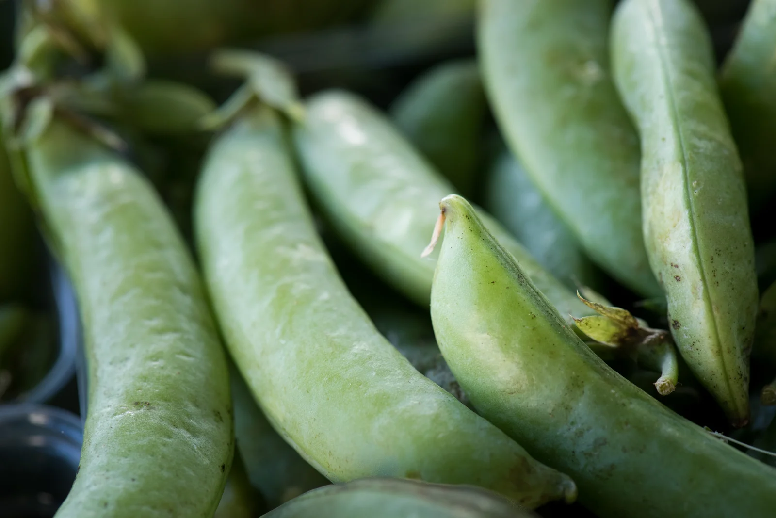 Variété de fruits et légumes de saison présentés sur un étal de marché