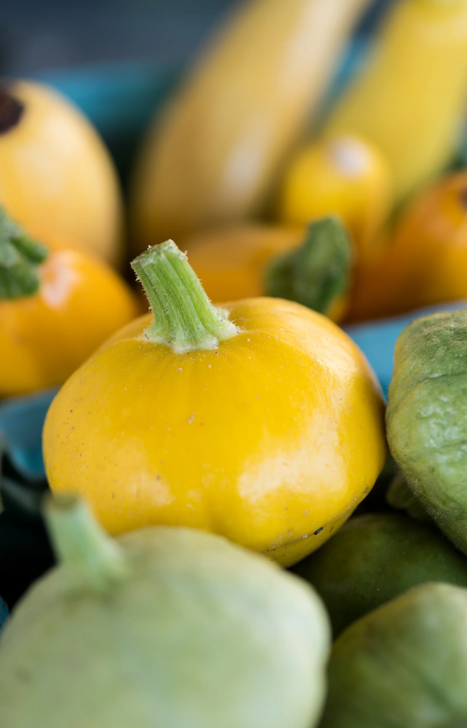 Panier de produits frais de saison, fruits et légumes colorés