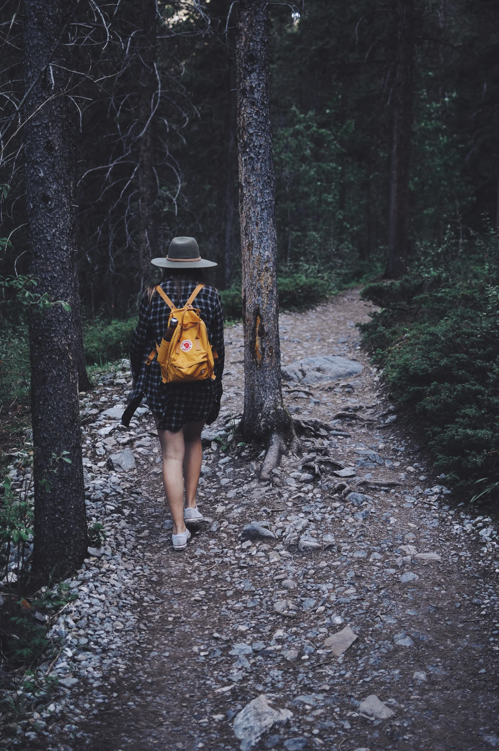 Personne marchant sur un sentier en pleine nature, alternative concrète à l'usage des écrans pour une digital detox progressive