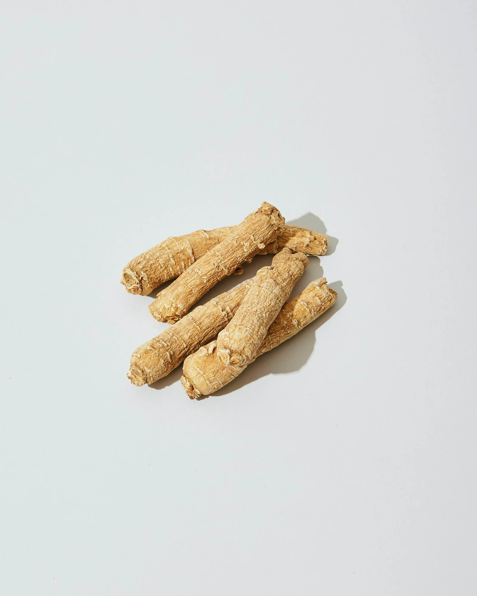 Tranches de ginseng séché — le ginseng rouge est préparé à la vapeur pour modifier son profil de ginsénosides
