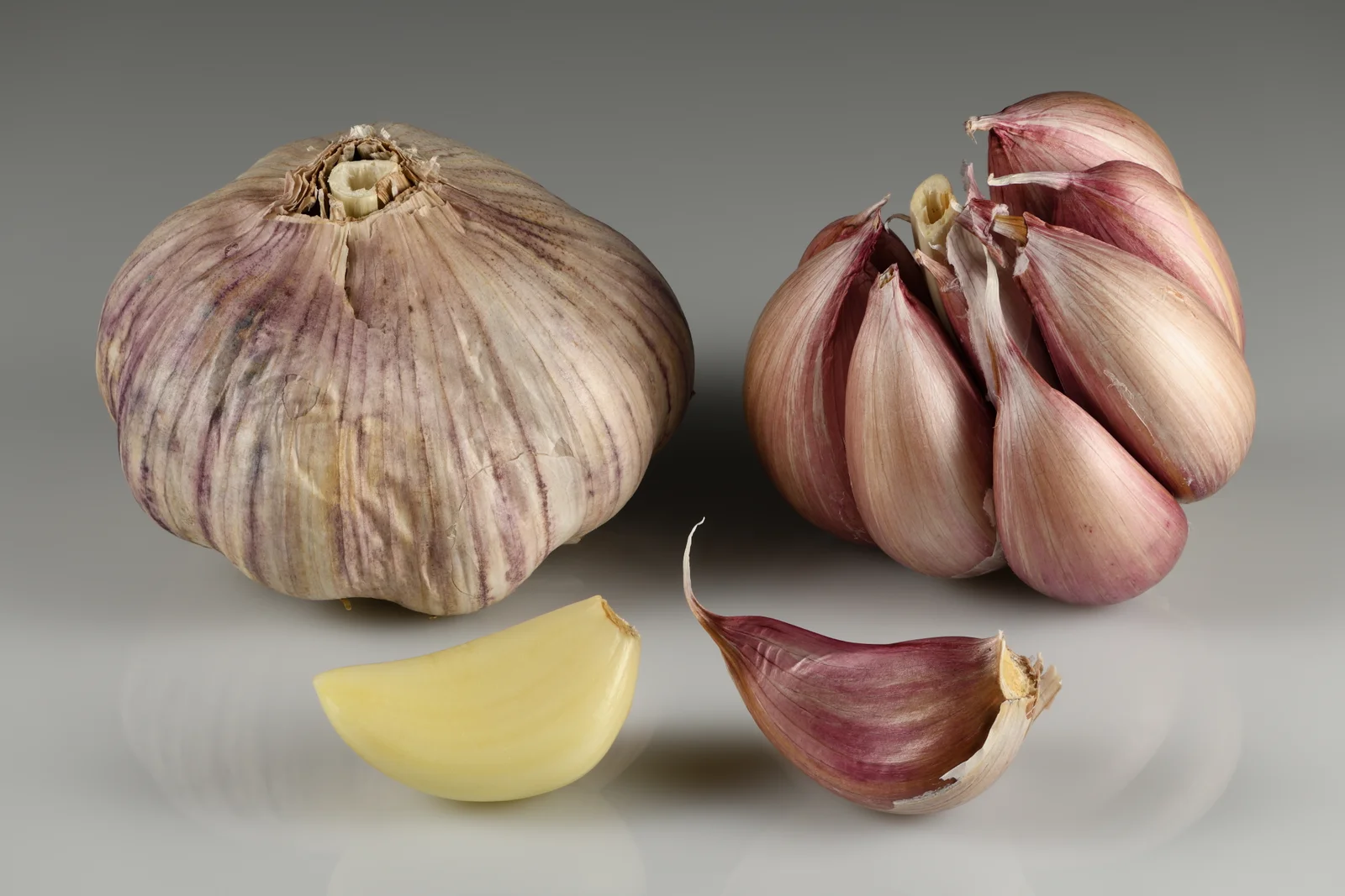 Ail frais et gousses, source de précurseurs soufrés du glutathion