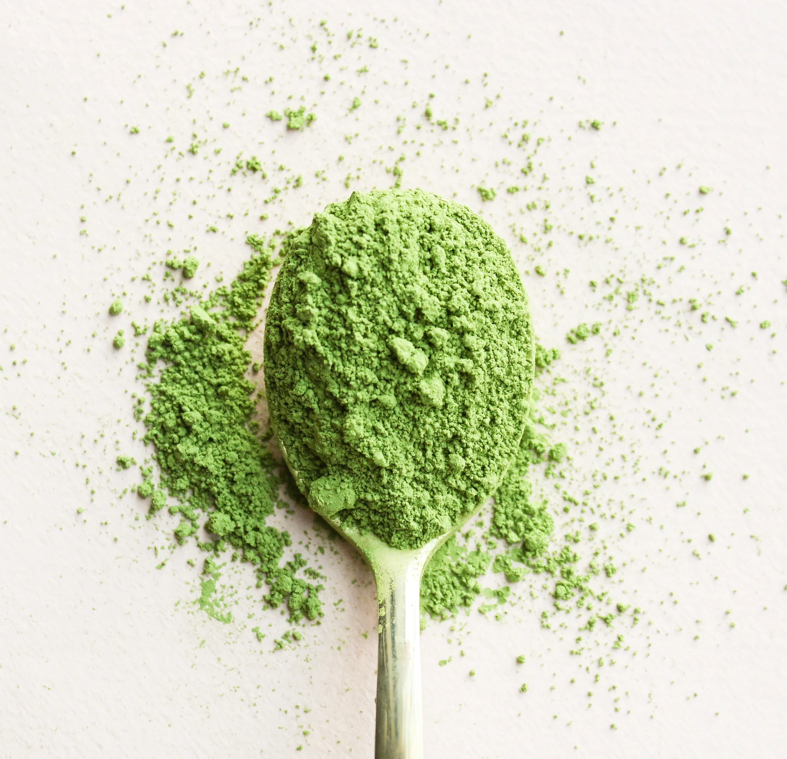 Poudre de matcha, thé vert japonais particulièrement riche en L-théanine