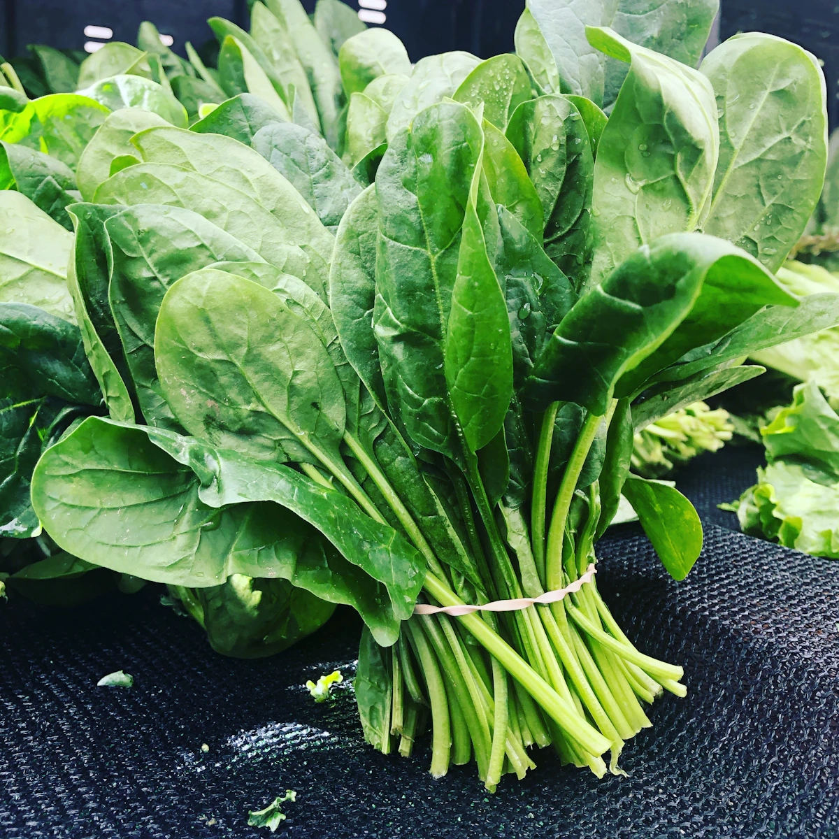 Épinards frais — légume vert riche en magnésium et nutriments essentiels