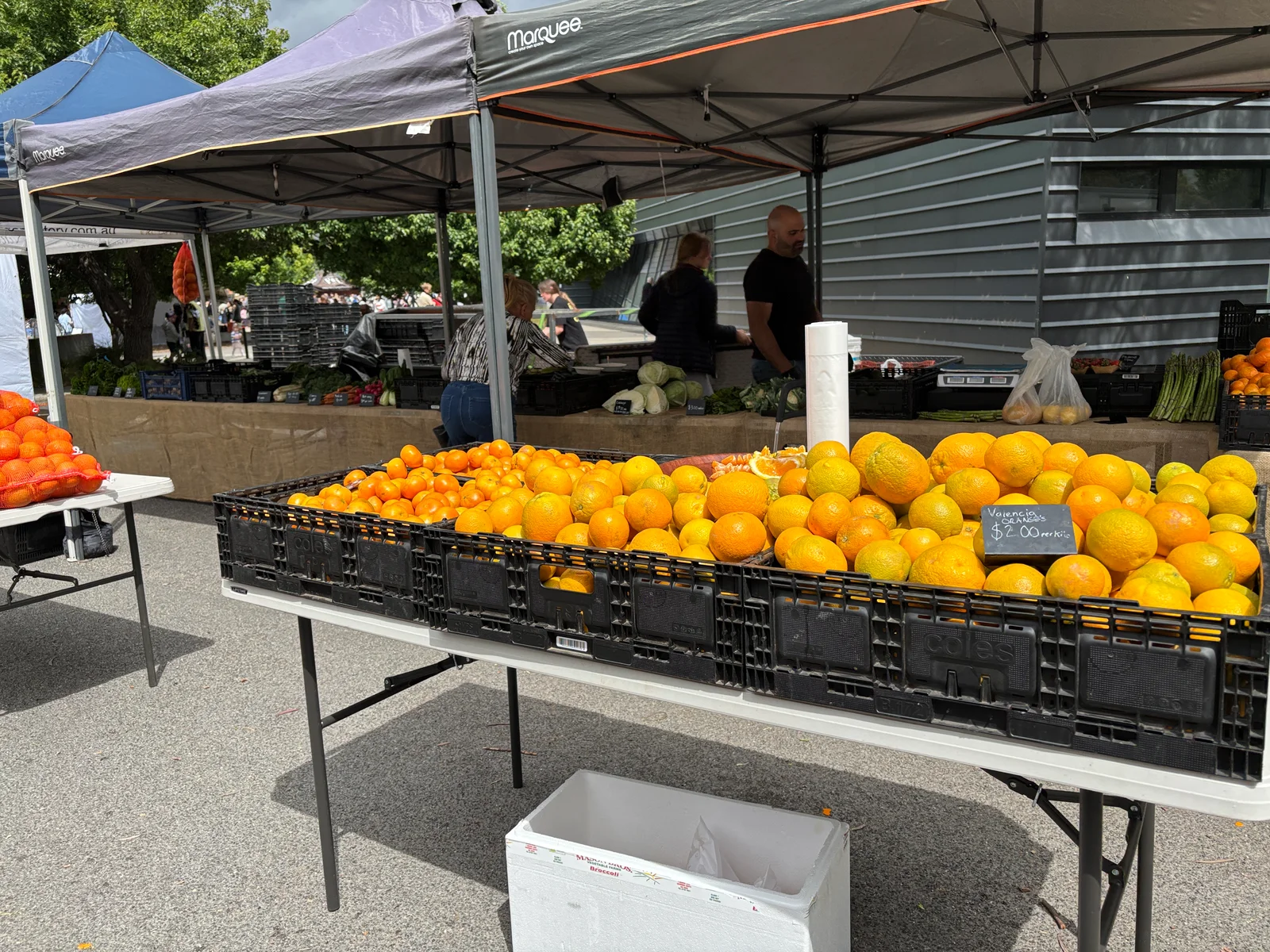 Manger local et de saison : guide pratique et bienfaits santé