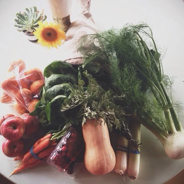 Panier de légumes frais issu d'une AMAP, illustrant un circuit court d'achat direct au producteur