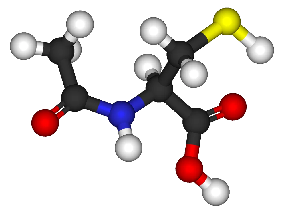 NAC (N-Acétylcystéine) : bienfaits, glutathion et précautions