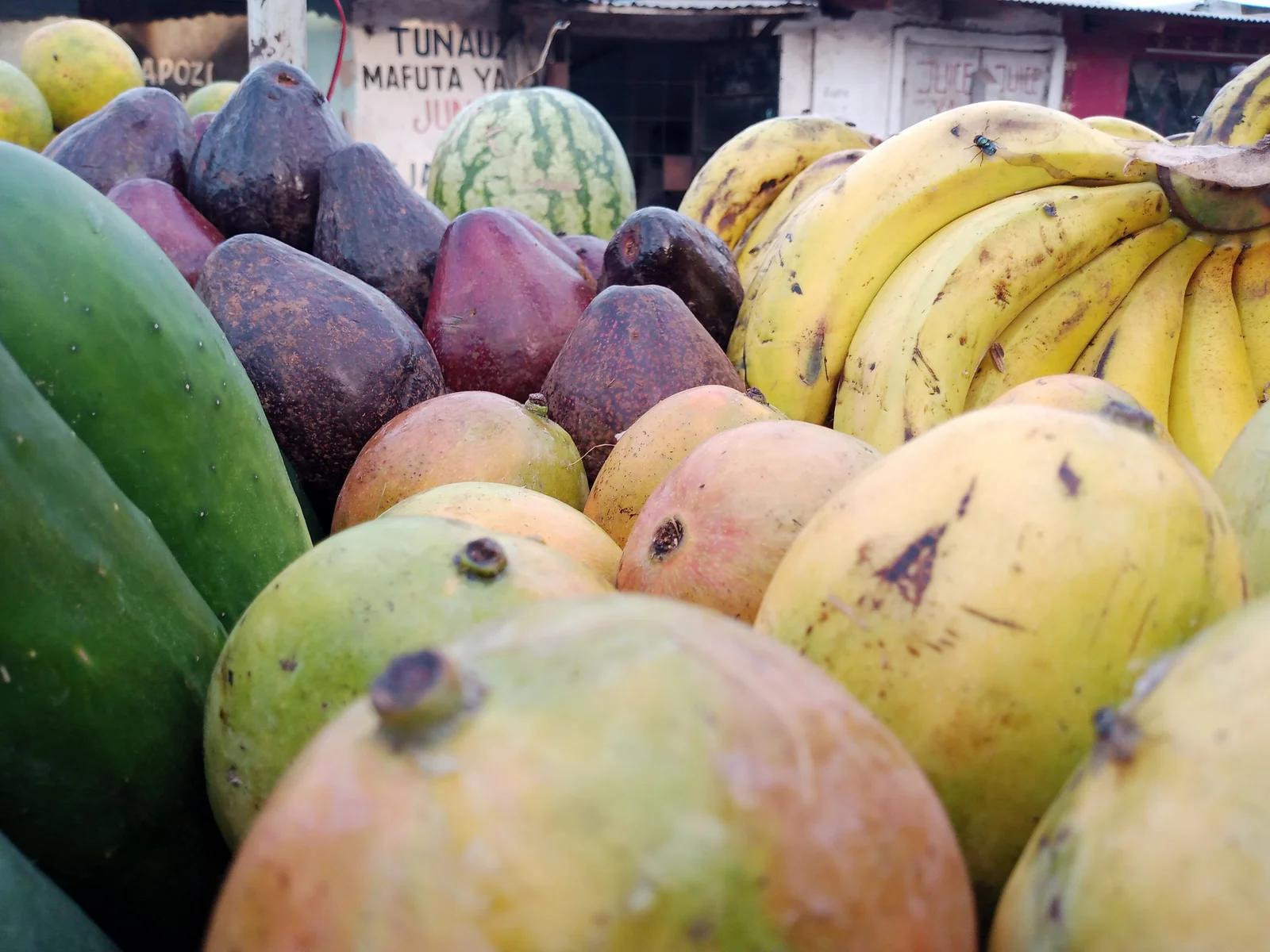 Diversité de fruits et légumes riches en potassium pour l'alimentation
