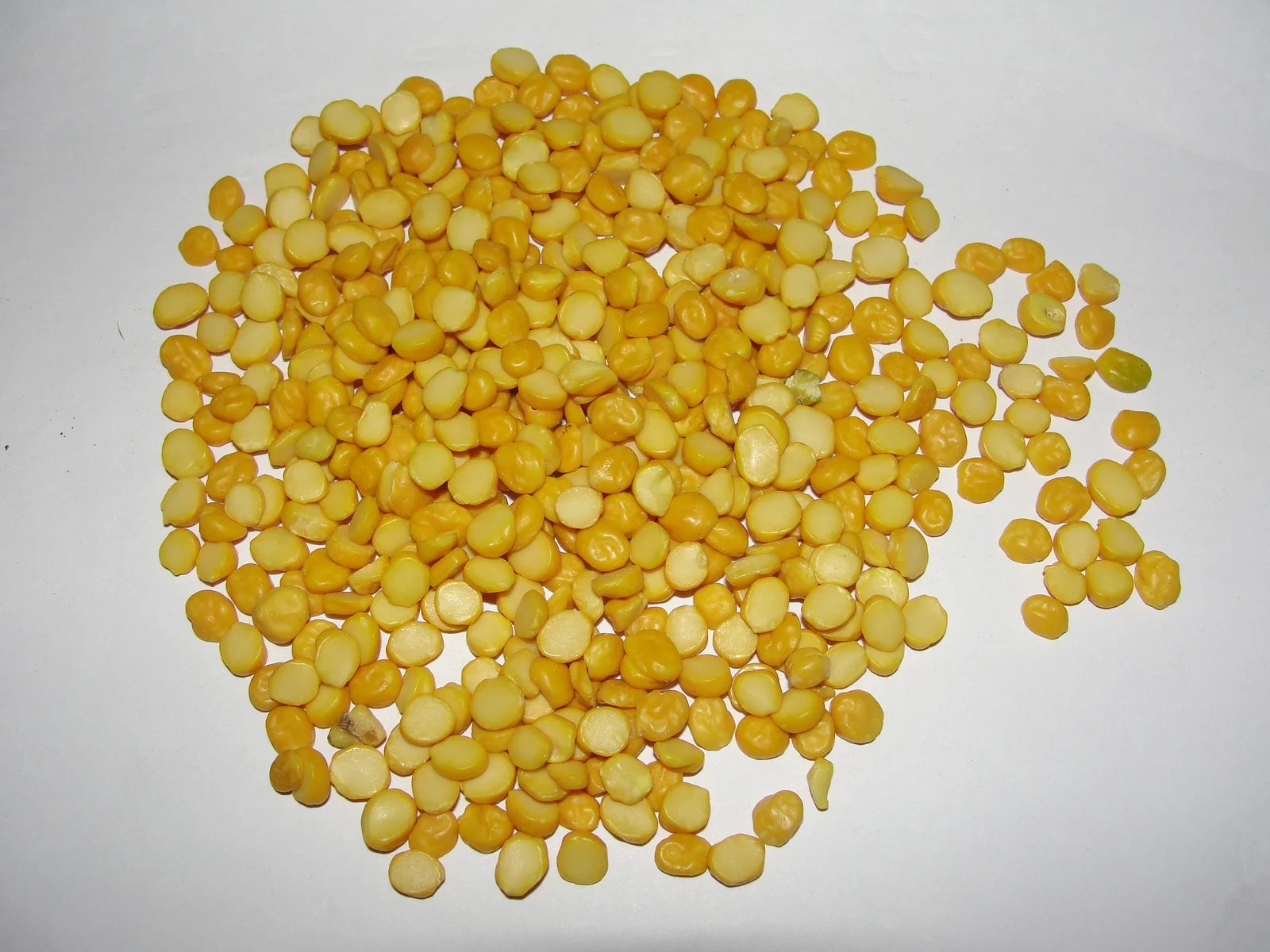 Pois chiches secs, légumineuse riche en protéines végétales et en fibres