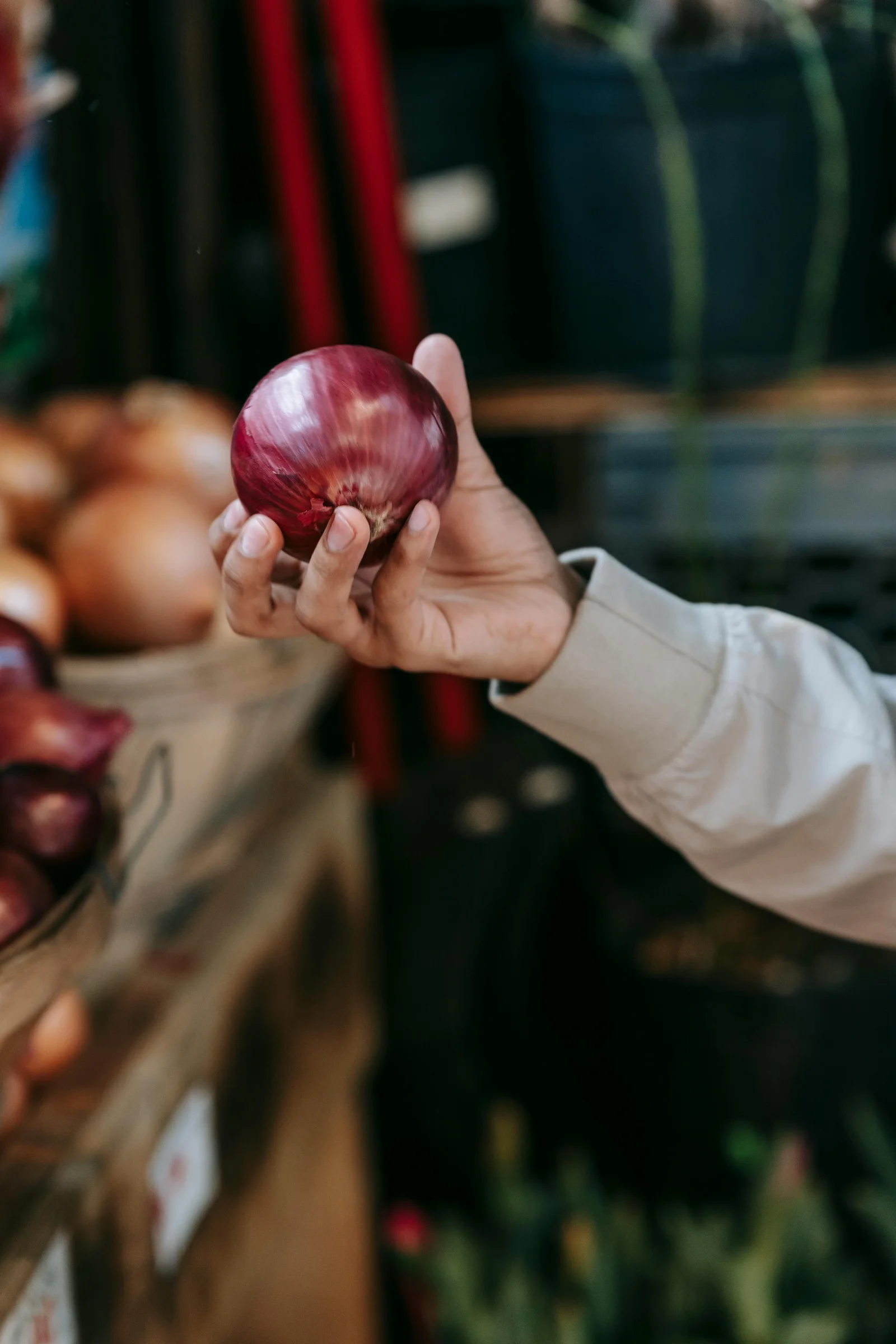 Quercétine : flavonoïde antioxydant, bienfaits et meilleures sources alimentaires
