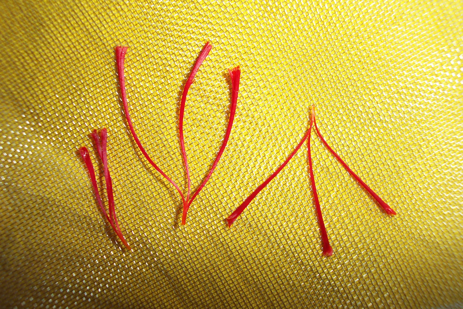 Pistils de safran séchés épice rouge précieuse complément alimentaire