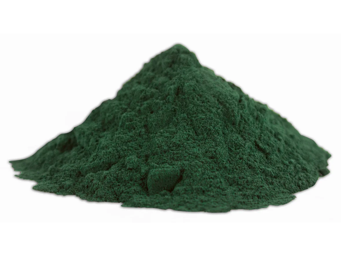 Arthrospira platensis, la microalgue cyanobactérie à la base de la spiruline