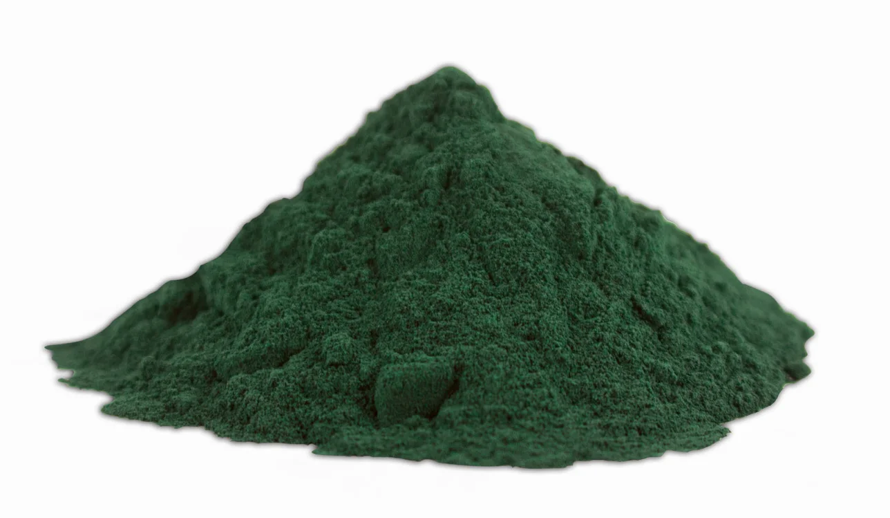 Spiruline poudre verte en gros plan, texture granuleuse naturelle, complément alimentaire végétal