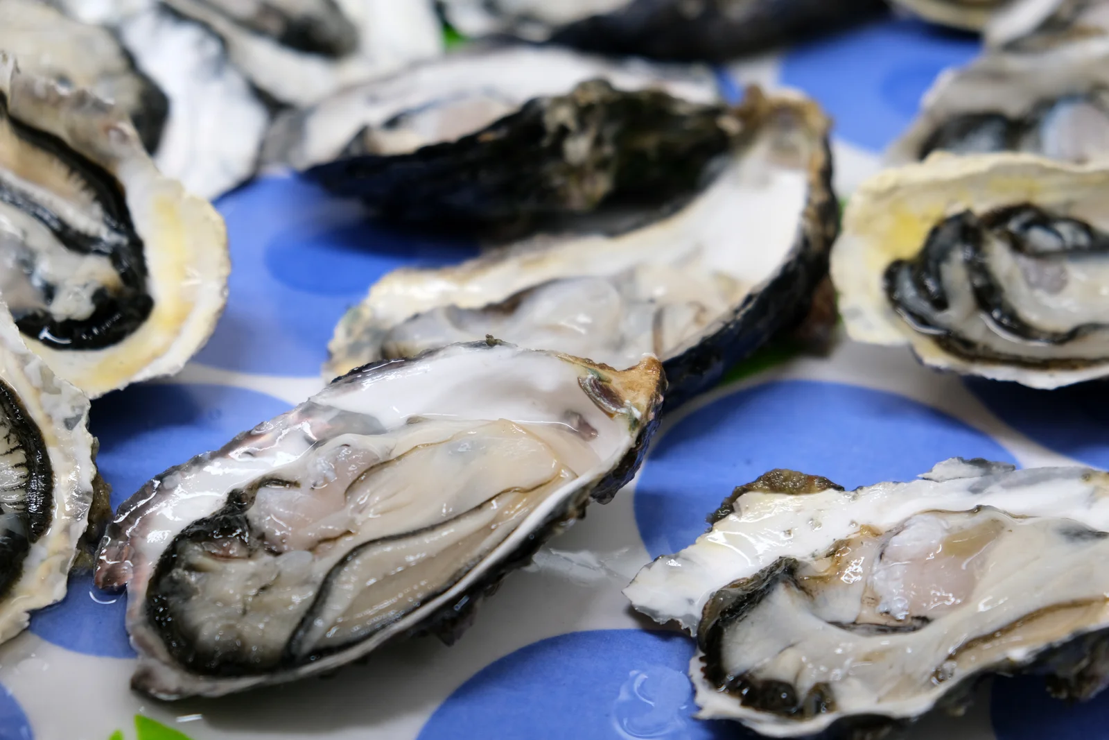 Taurine : bienfaits réels, mythes et comment bien la choisir