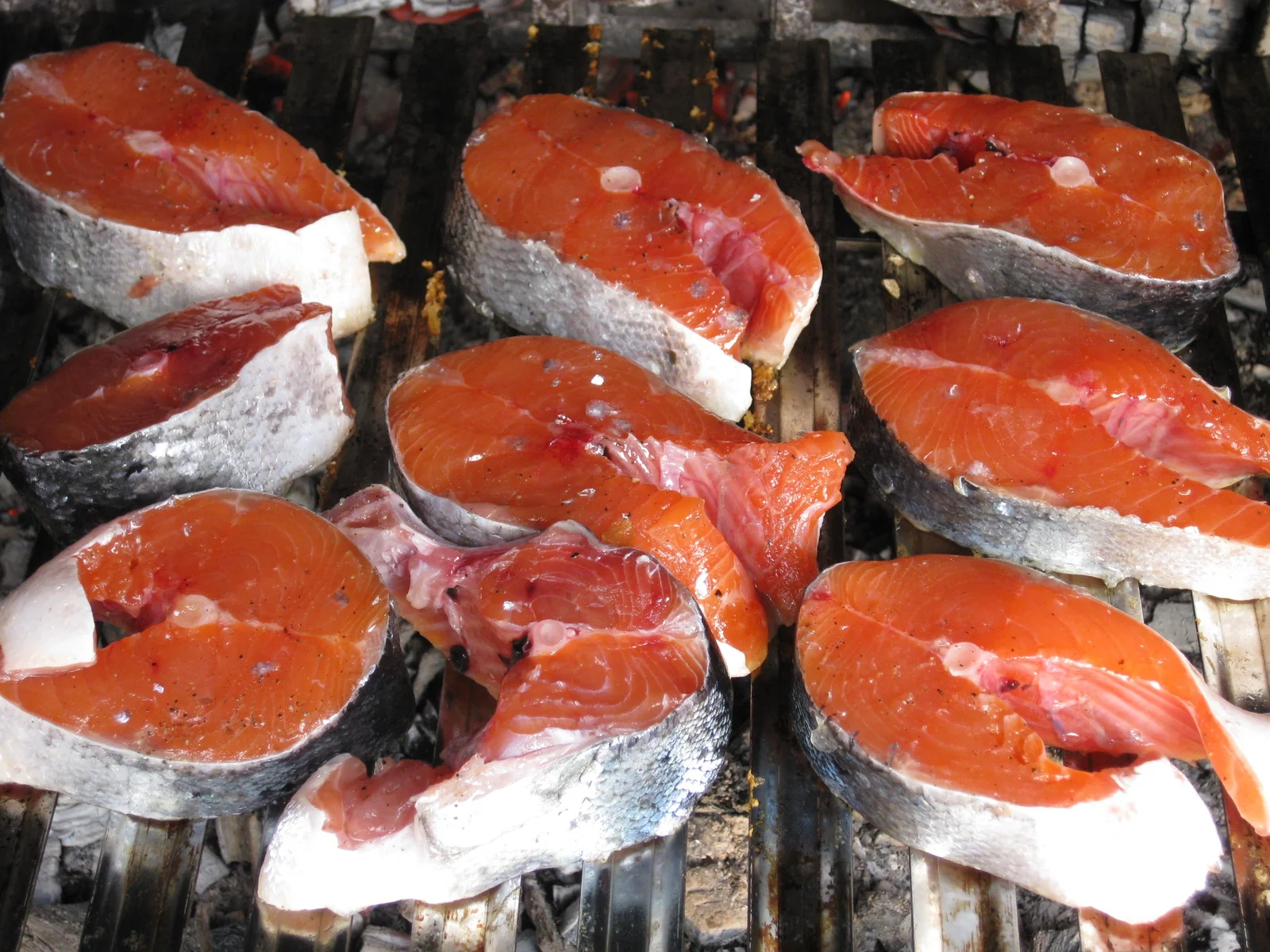 Filets de saumon cru, source alimentaire naturelle de taurine