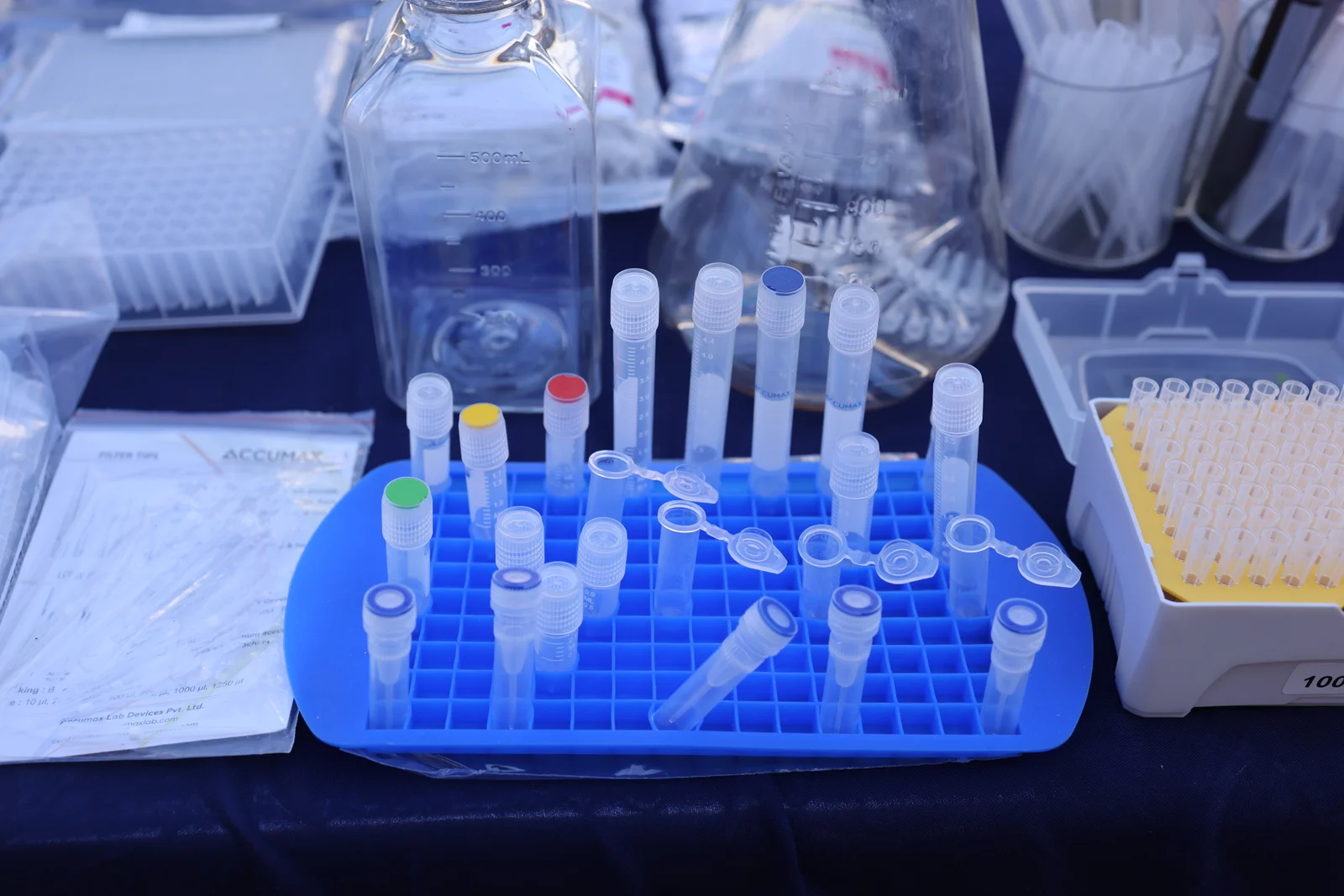 Test microbiote intestinal maison : que valent-ils vraiment ?