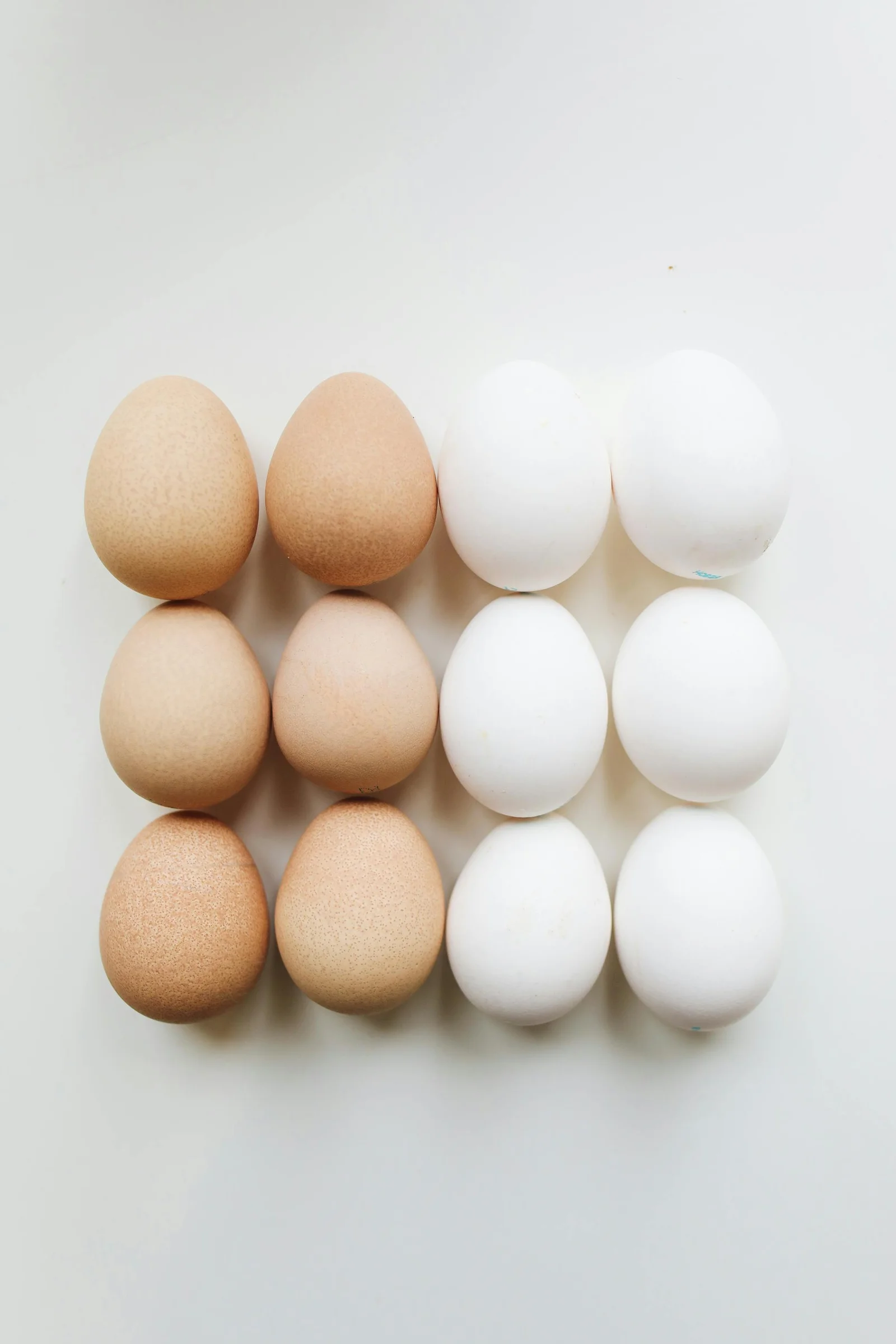 Alimentation saine et équilibrée — approche globale recommandée par Sophie R.